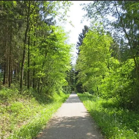 Apartman Schusternagerl *